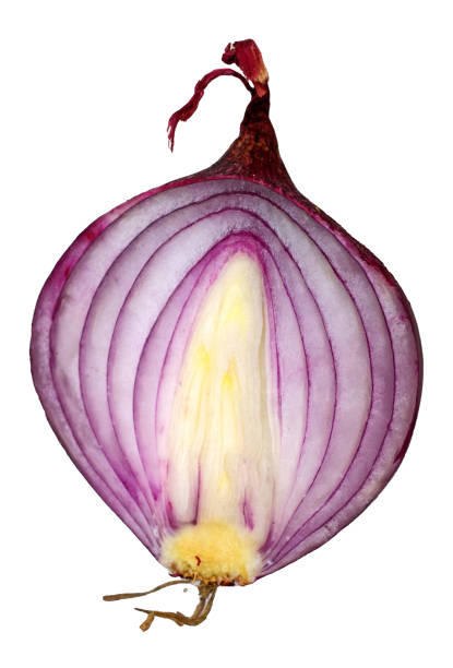 istock Half of a red onion 2078756133
