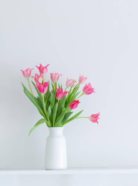 istock pink tulips in white vase on white background 2078762944