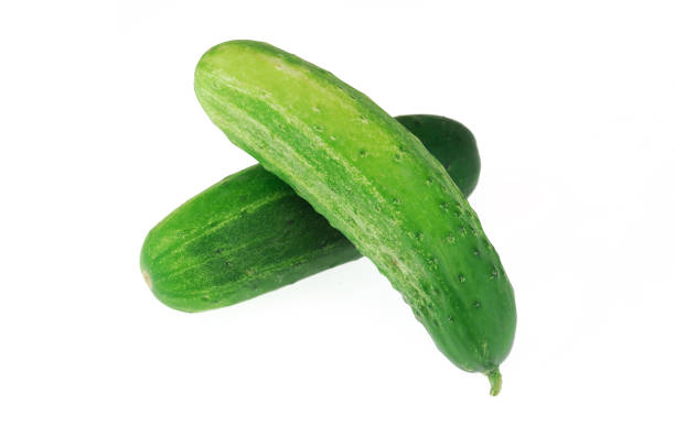 green cucumbers as fresh farm vegetable background