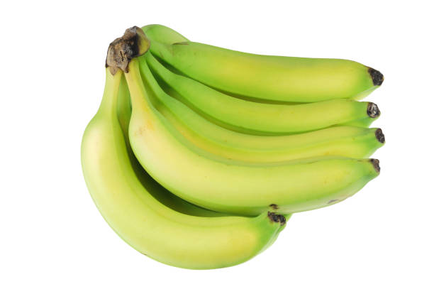 Side view of Bunch raw and green banana. Cavendish banana. copy space