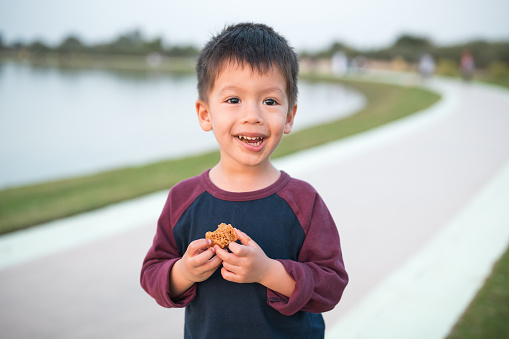A young boy happily enjoys a picnic by the lake, holding a piece of bread in his hand for an active snack. Location: Love lakes near Al Qudra in Dubai, United Arab Emirates