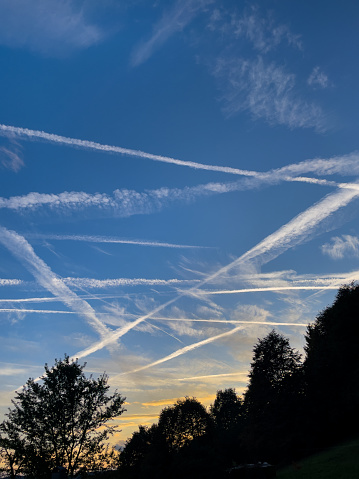 White airplane contrails intertwine in the blue sky of an early autumn morning. Pattern of remnant condensation trails from modern means of transport and travelling high above the forest silhouette.