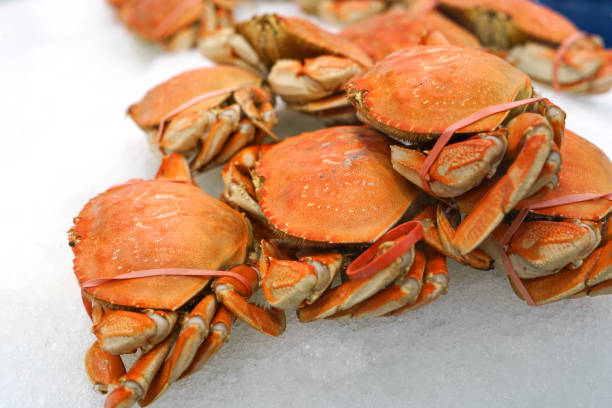 istock Frozen cooked red crab on the ice for sale 2078912358