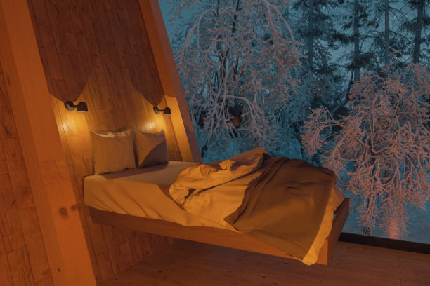 istock 3D rendering of wooden hut with raised bed at night 2078926695
