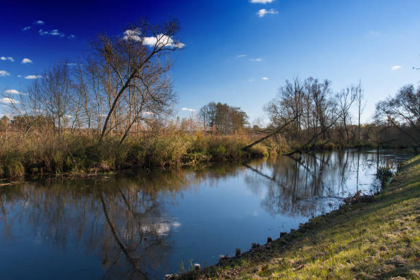River in autumn, autumn landscape of a quiet river, a mirror of water, Poland, Podlasie