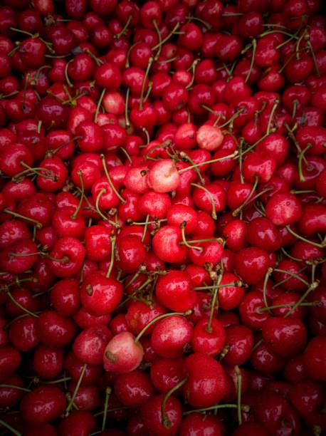fresh fruits at a street market