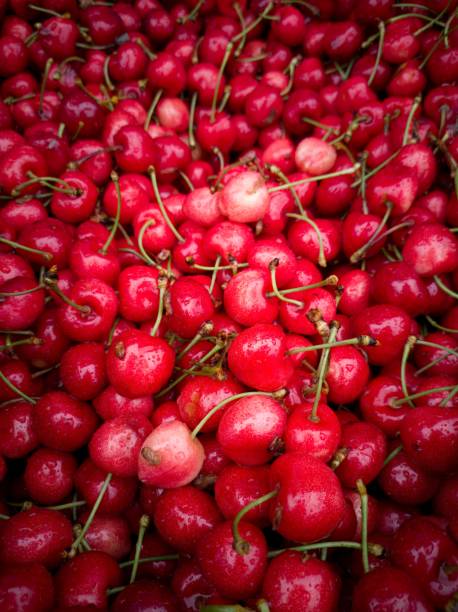 fresh fruits at a street market