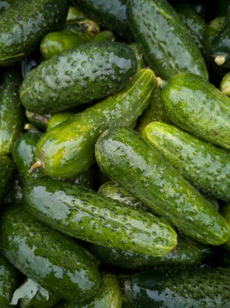 istock fresh vegetables on a market stall - cucumbers 2078963013