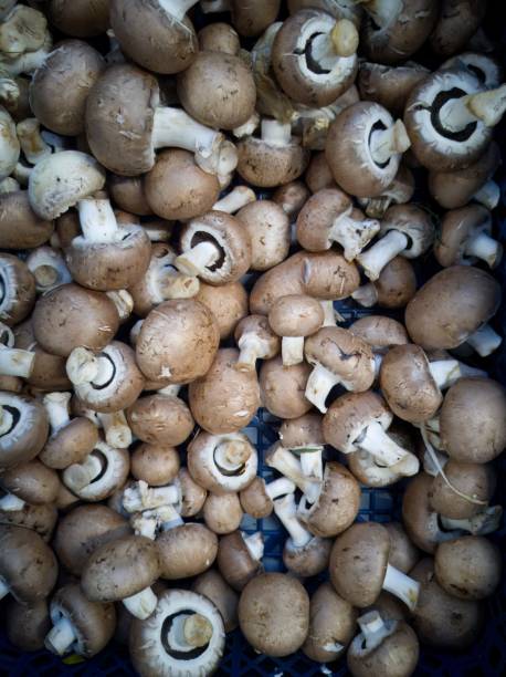 istock fresh vegetables on a market stall - mushrooms 2078969405