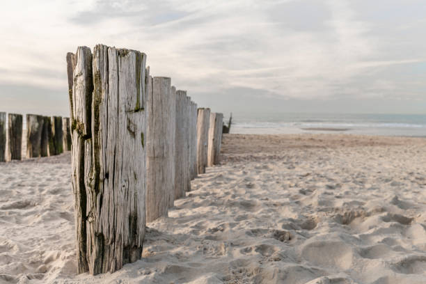 istock Beach near Domburg town in spring fresh morning with cloudy sky 2078980536
