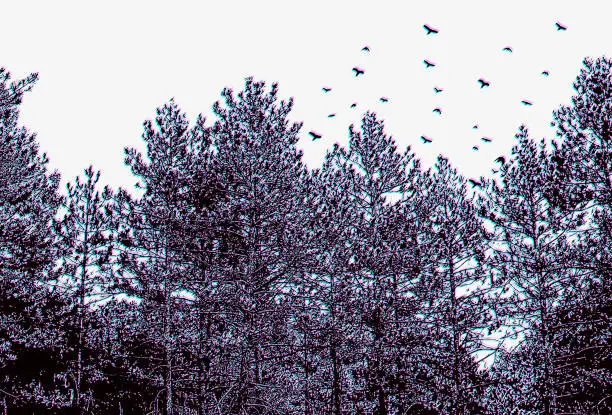 Vector illustration of Pine Trees and flock of birds with Glitch Technique