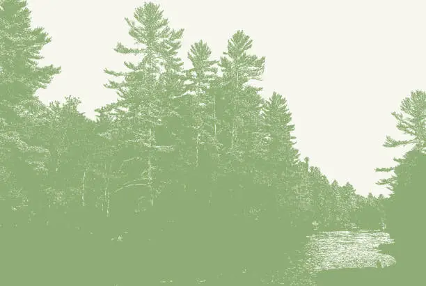 Vector illustration of Pine Trees and river