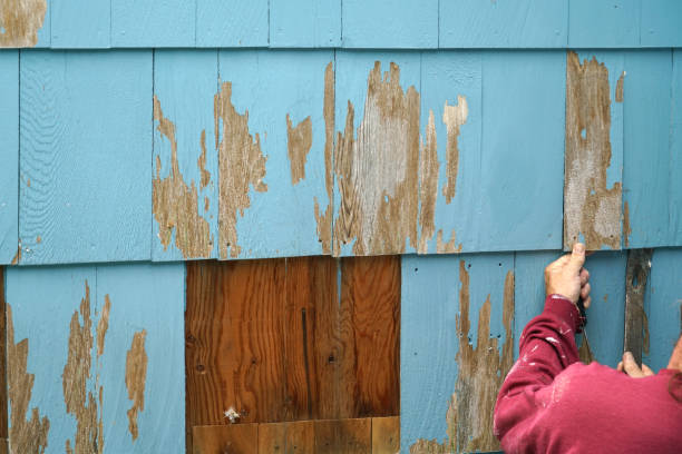 istock handyman repairing the house wall with hammer 2079021605