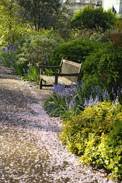 istock St James's Square in the Springtime, London 2079028917