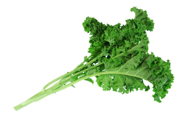 istock fresh green kale vegetable isolated on white background 2079030478