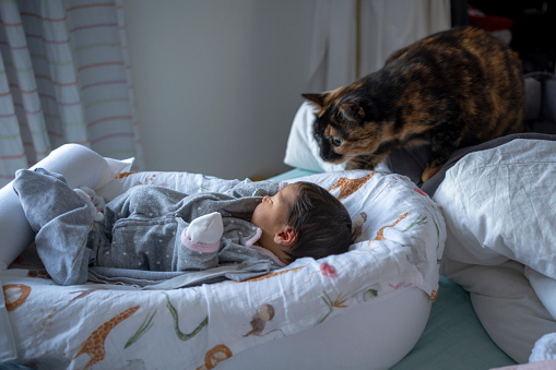 a baby in a crib with a cat looking on