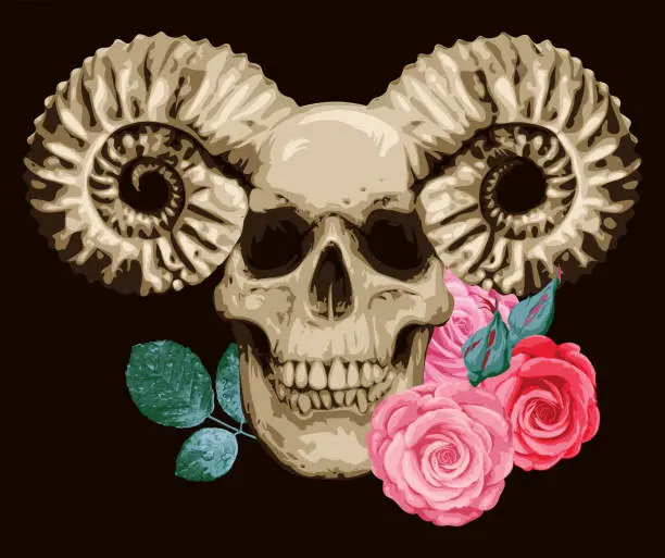 Vector illustration of human skull with ram horns and rose flowers