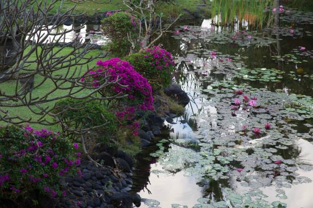 istock Bali - island of the gods 2079133861