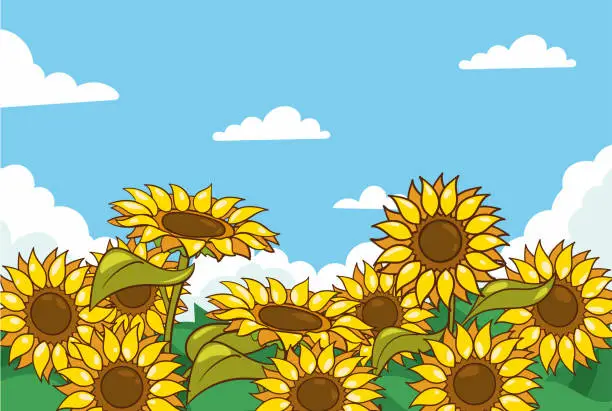 Vector illustration of vector illustration of sunflower field, sunny day landscape border background. Summer season nature scenery with under blue sky and beautiful sunflowers.