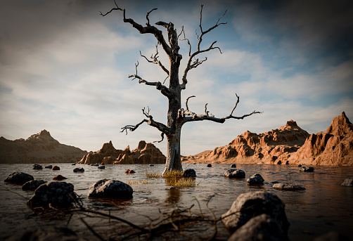 Cracked land and dead tree, 3D illustration