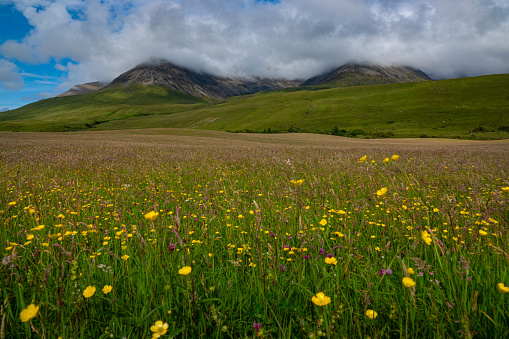 Colourful blooming meadow with mountain peaks shrouded in clouds on Isle of Skye. Incredibly picturesque and dramatic landscape with constantly changing weather on a green island in northern Scotland.