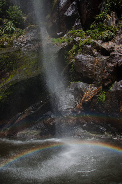 istock Scenic Trip at Milford Sound 2079199035