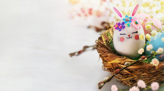 Easter composition with Easter egg - bunny  in a bird's nest with flowers on the white wooden background. Easter background or greeting card with painted eggs in a bird's nest and small beautiful flowers gypsophila around a nest. Copy space for text.