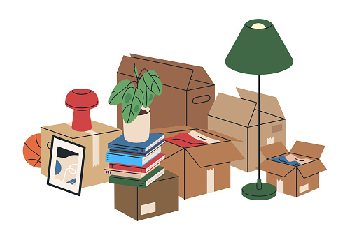 Carton moving boxes. New house boxes with personal stuff, cardboard boxes with pot plant, books and lamp flat vector illustration. Moving box with things