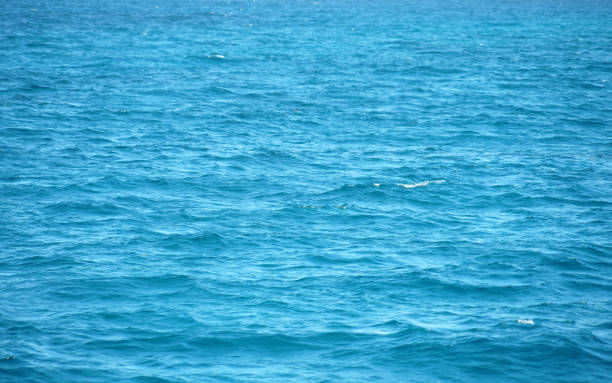 natural background of blue sea water surface