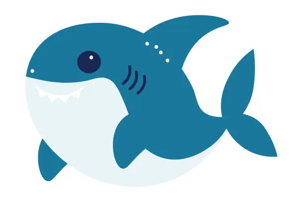 Vector illustration of cute shark. cartoon vector illustration. sea life