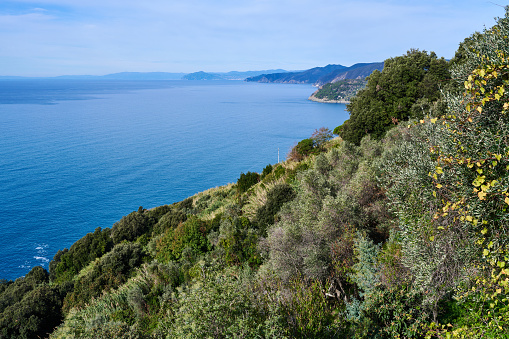 Marine coastline in Levanto, one of the five villages in Cinque Terre. Province of La Spezia. Liguria. Italy.