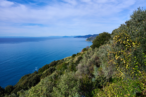Marine coastline in Levanto, one of the five villages in Cinque Terre. Province of La Spezia. Liguria. Italy.