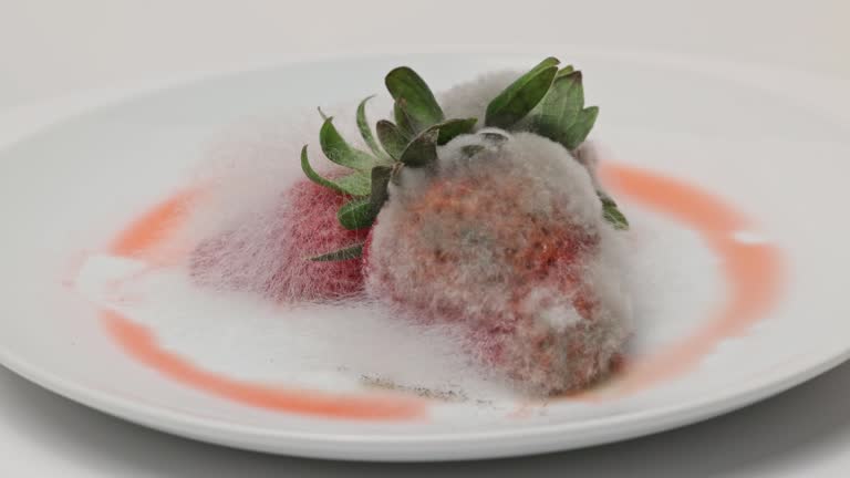 Spoiled strawberries covered with mold on a plate