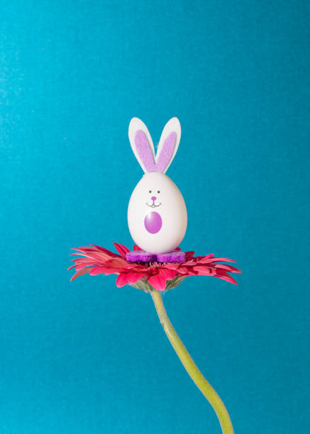 Easter bunny egg shape on a natural pastel red daisy flower. Blue background. Front view. Copy space.