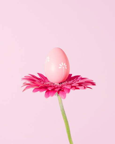 istock Minimal happy holiday surreal concept. Decorative Easter egg on the  flower. 2079304245