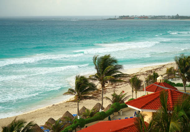 A serene scene in Puerto Morelos, showcasing white boats anchored near the beach, framed by turquoise Caribbean waters and swaying palm trees on a sunny day.