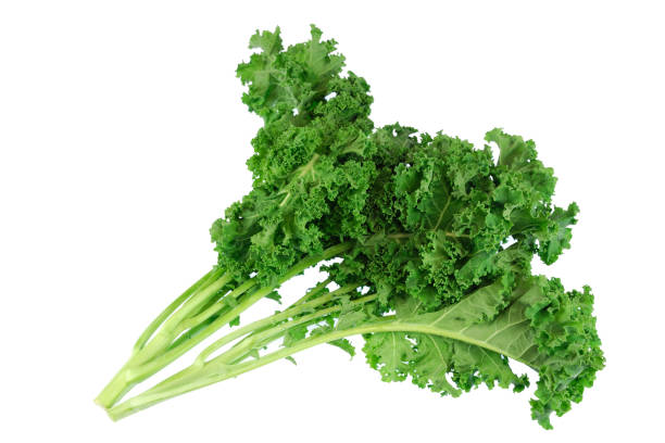 istock fresh green kale vegetable isolated on white background 2079364024