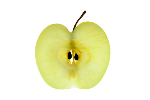 Isolated apples. Whole red apple fruit with slice cut isolated on white with clipping path