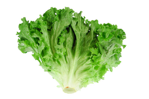 istock close up on fresh green lettuce texture 2079402477