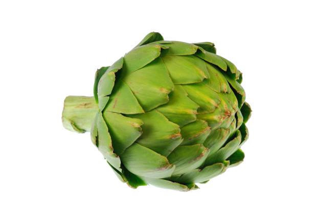 istock close up on artichoke isolated on white background 2079402996