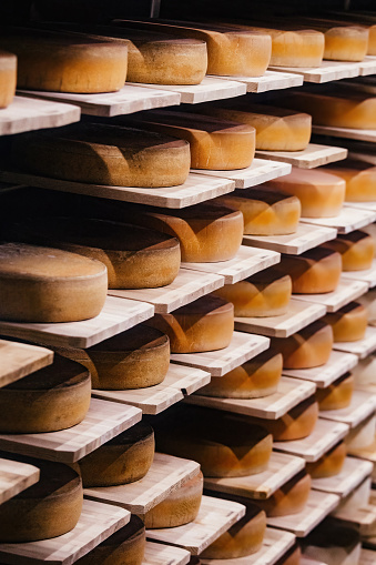 Shelves with wheels of cheese at cheese warehouse.