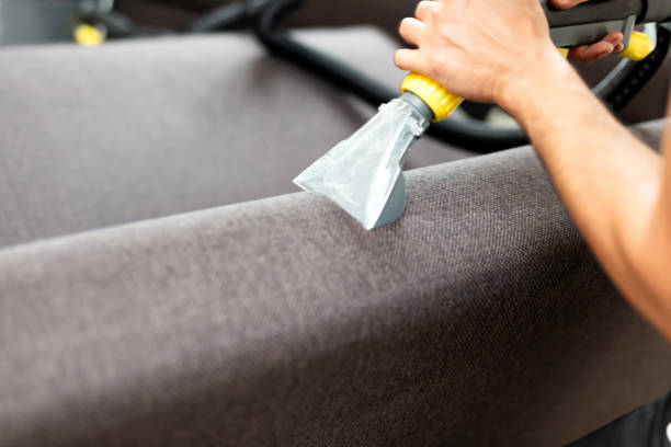 istock Man vacuuming a sofa in the living room 2079429294