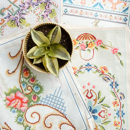 Sansevieria plant in antique pot resting on vintage embroidered tablecloth