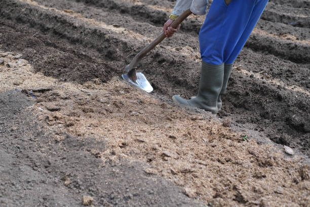 istock Unrecognizable Asian Farmer Plowing Agriculture Field With Shovel 2079455424