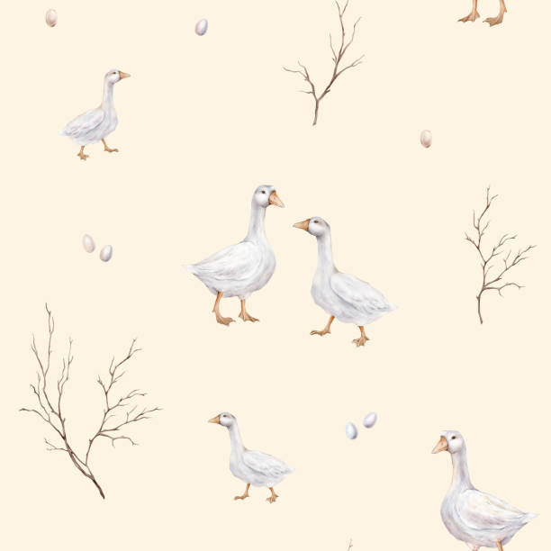 watercolor seamless pattern with goose farm bird and pastel color eggs for easter designs and fall tree branch. tender watercolor plant illustration on a isolated on white background. - duck animal egg isolated bird stock-grafiken, -clipart, -cartoons und -symbole
