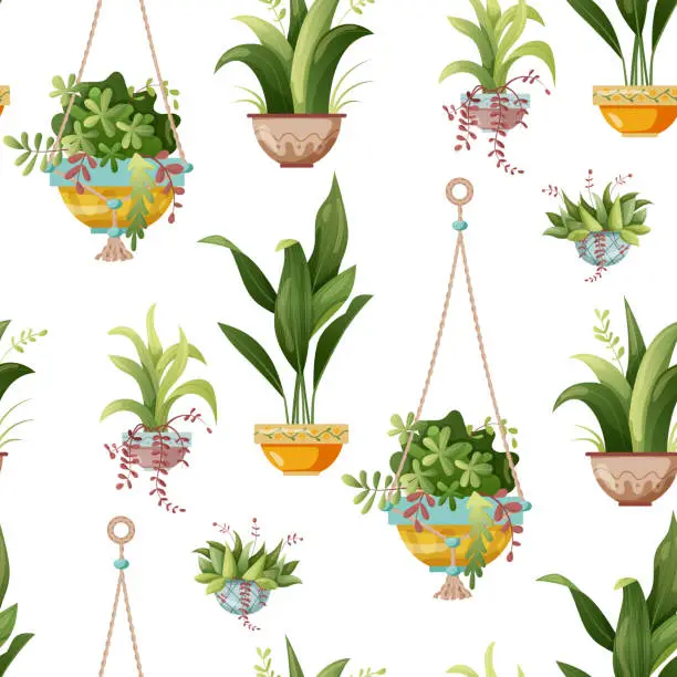 Vector illustration of Seamless pattern. Houseplant and macrame plant growing in pots. Set of handmade home decorations macrame plants isolated on white background. Cartoon flat illustration.