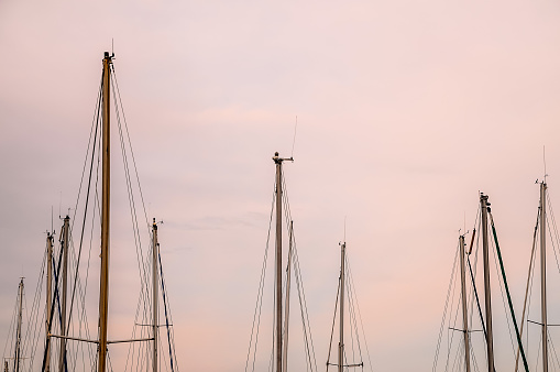Silhouette Masts of Sail Yacht in a Marine