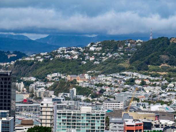 istock Wellington, a City on the Mountains 2079569675