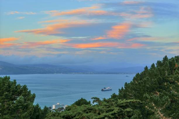 istock Wellington at Dusk 2079571247