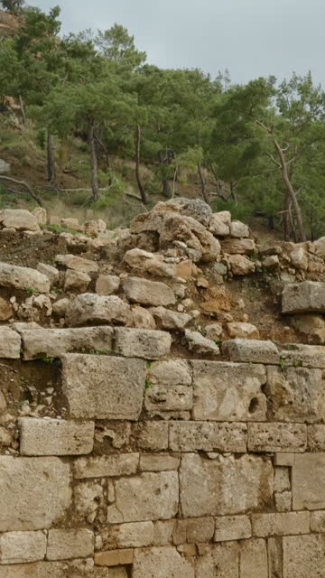 Vertical video. Wall of large stones from an ancient building at the base of the mountain, panoramic view. Above, pine trees, overcast weather.